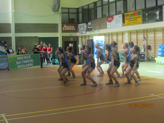 turta 284